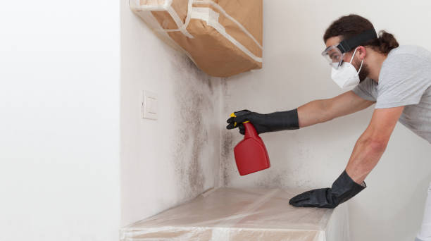Professional Commercial Mold Remediation technician working in Portage, MI